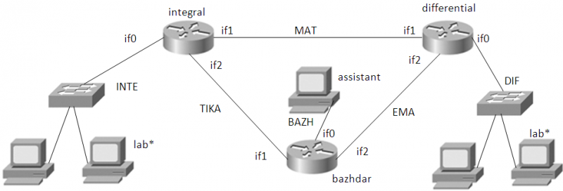 File:DynamicNetwork.png
