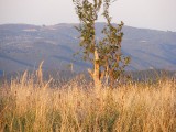 dscf2679